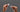 a womans hand holding up delicate plumes of goose down